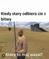 Który to mój wasal?