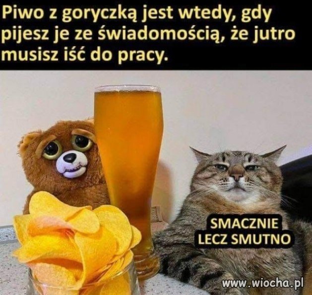 Piwo z goryczką to takie w niedzielę