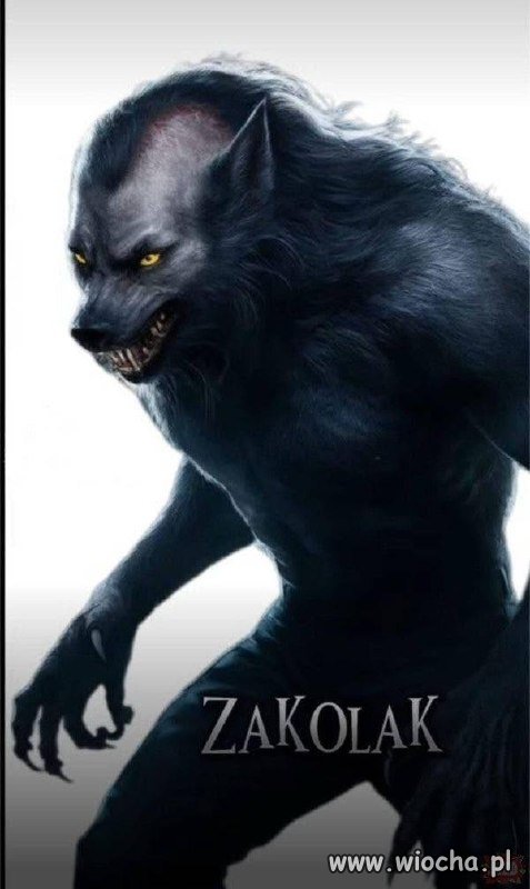 Wilkołaki