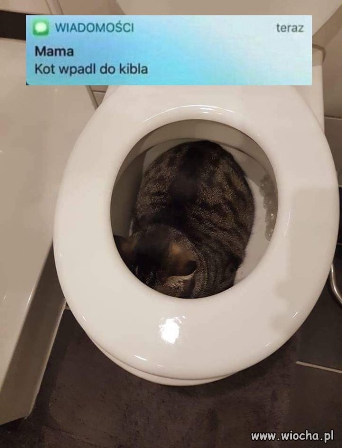 Typowa wiadomość od mamy