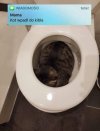 Typowa wiadomość od mamy