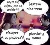 Jestem pisarzem