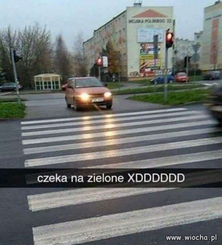 Samochód grzecznie czeka na zielone
