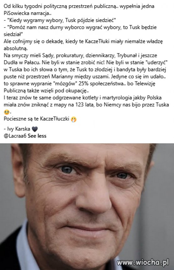 Pocieszne są te KaczeTłuczki 🤭