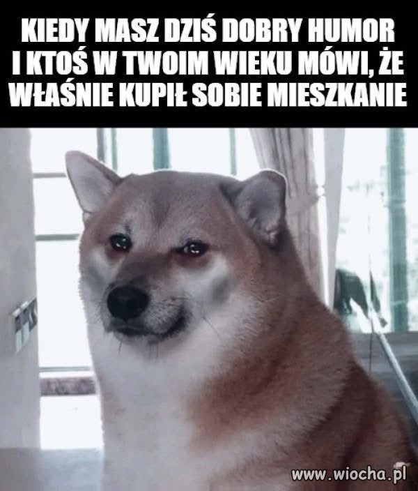 No i humor popsuty