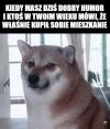 No i humor popsuty