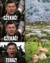 Sezon grzybowy start już zaraz