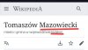 Memiczne miasto