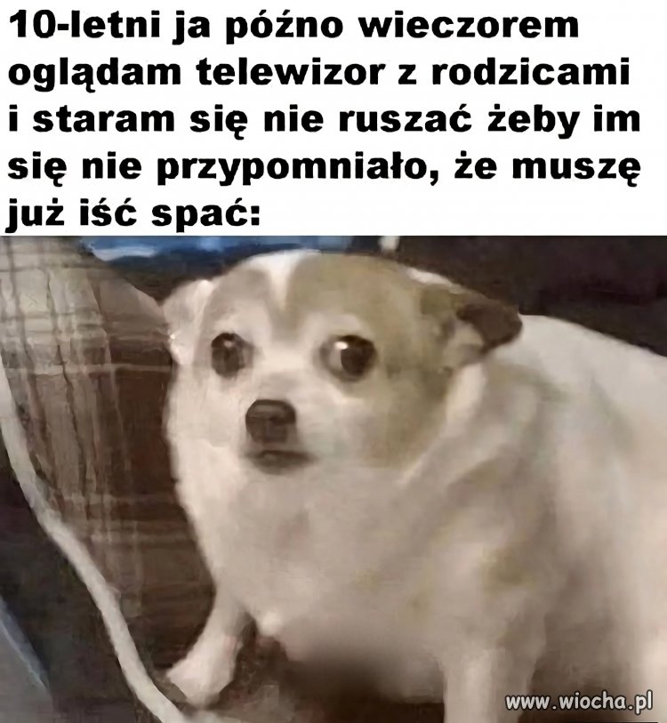 Nie ruszaj się, nie oddychaj