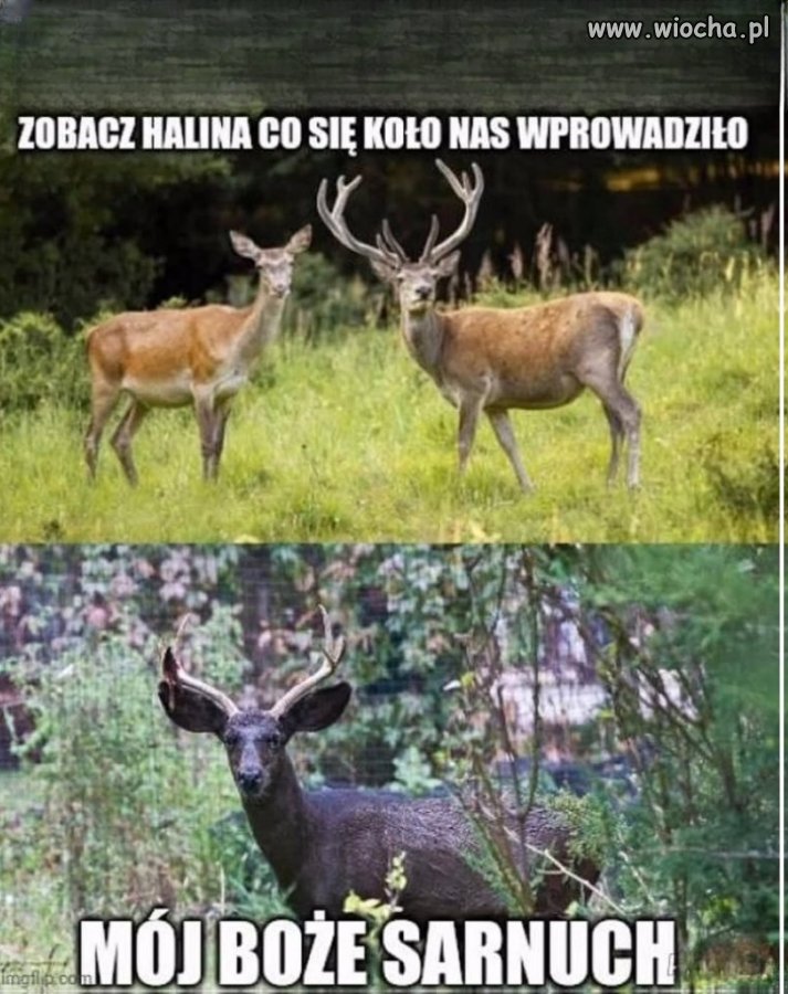 Zobacz, co się koło nas wprowadziło