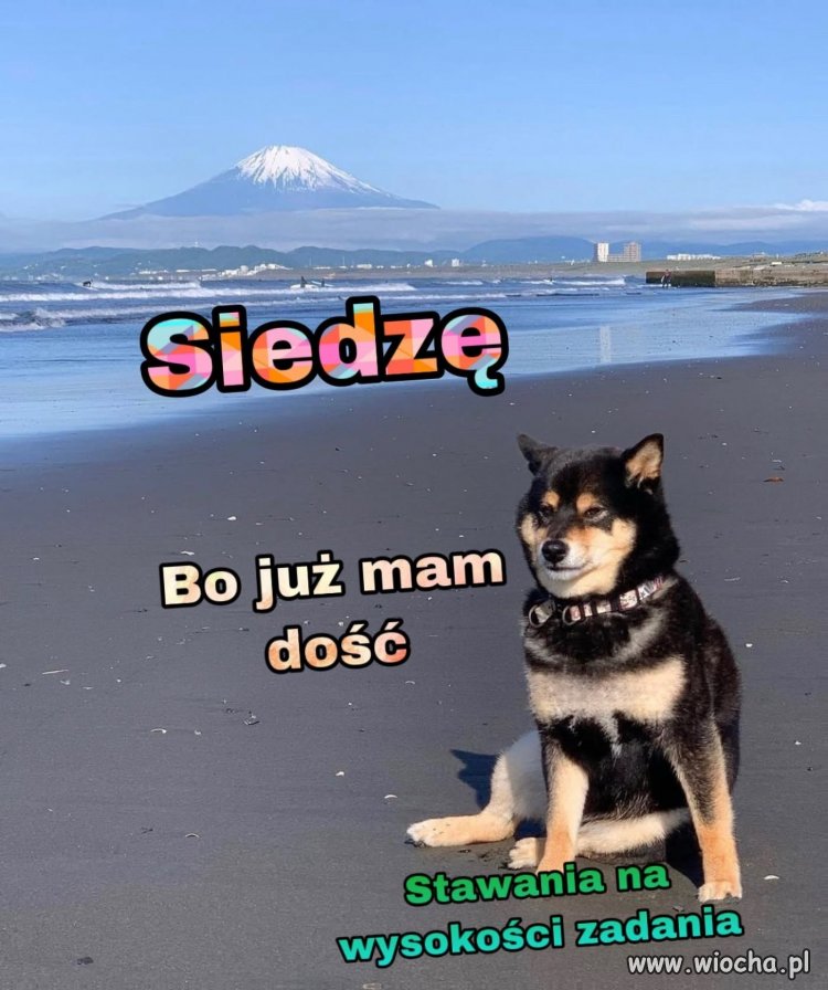 Mam dość stawania na wysokości zadania
