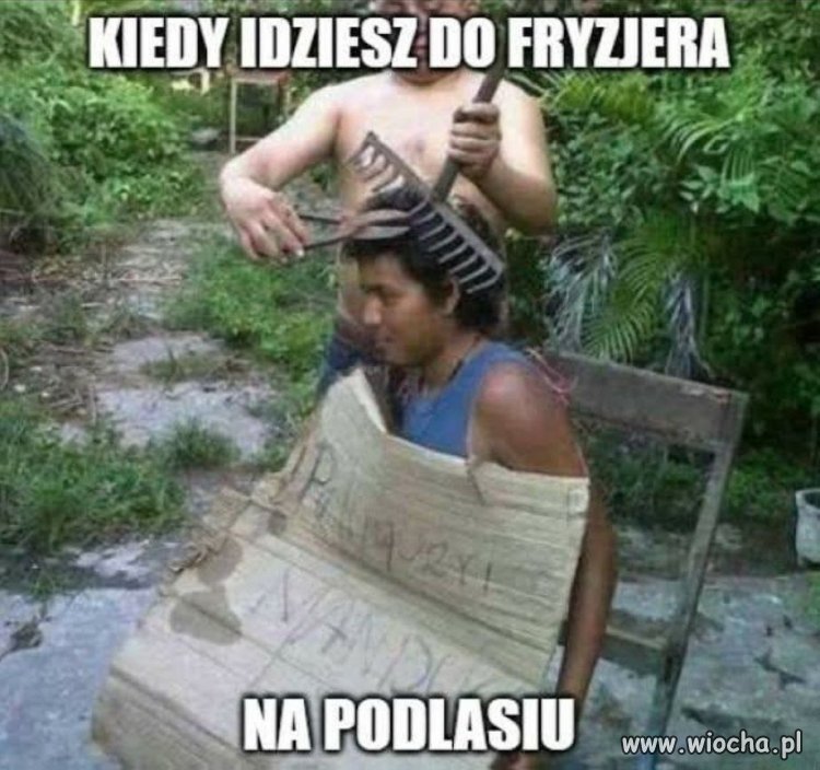 Typowy dzień na Podlasiu