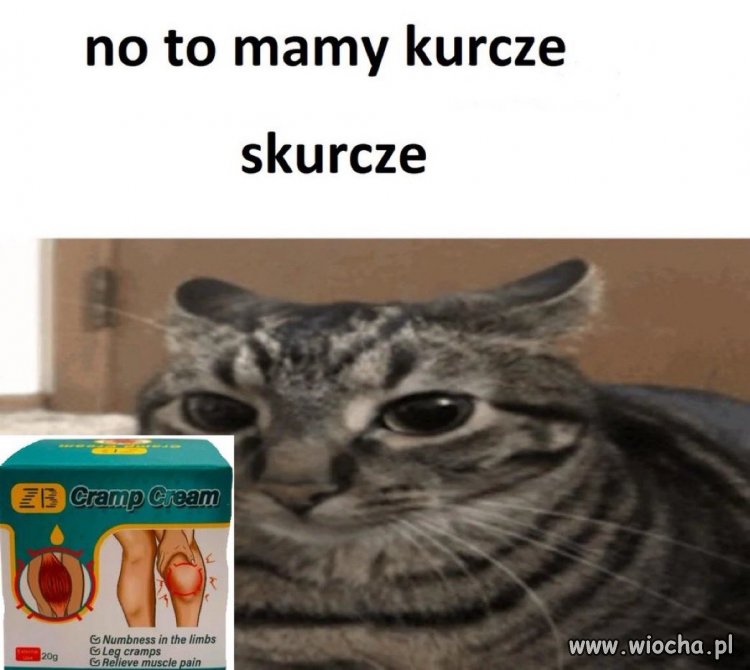 No to mamy kurcze