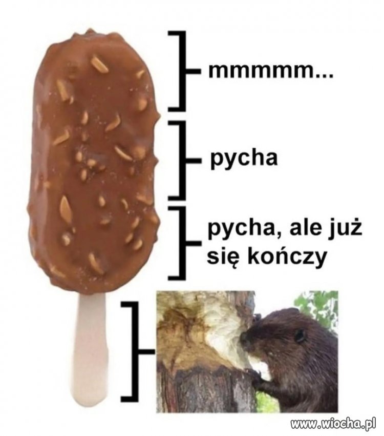 Ależ to była pyszna przekąska