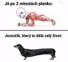 Ja umieram