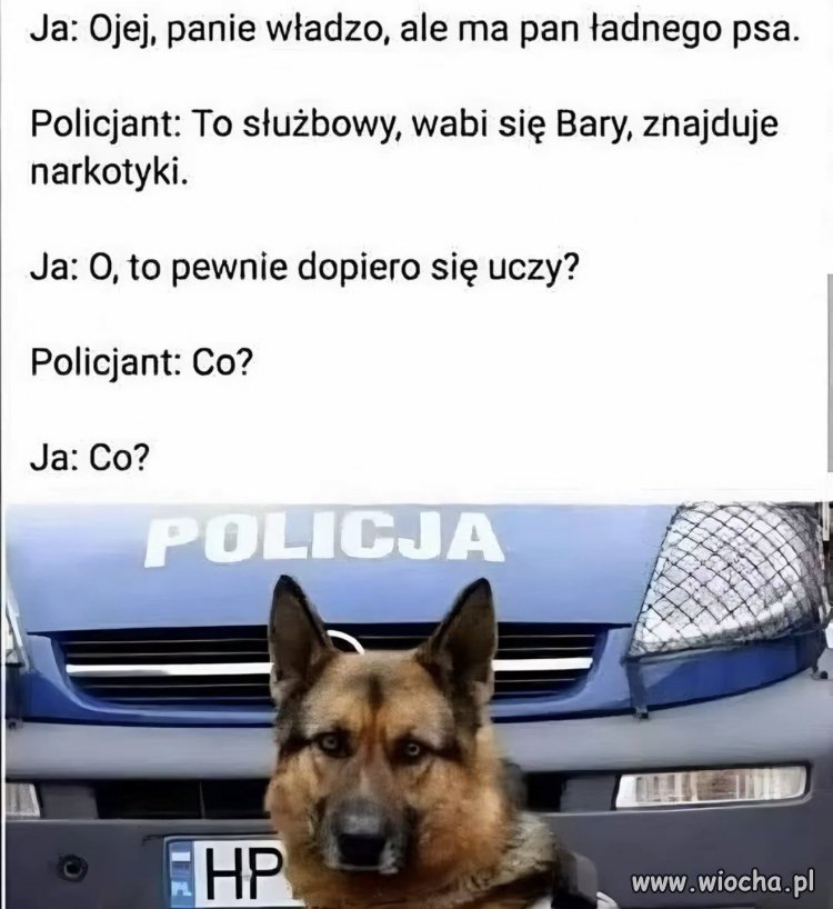 Bary znajduje narkotyki