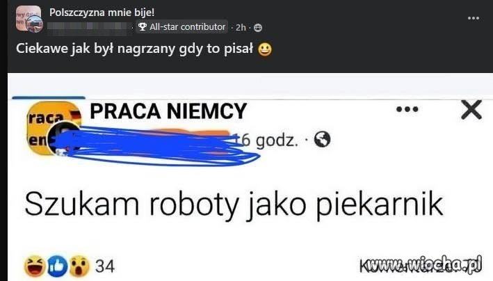 Szukam roboty jako piekarnik