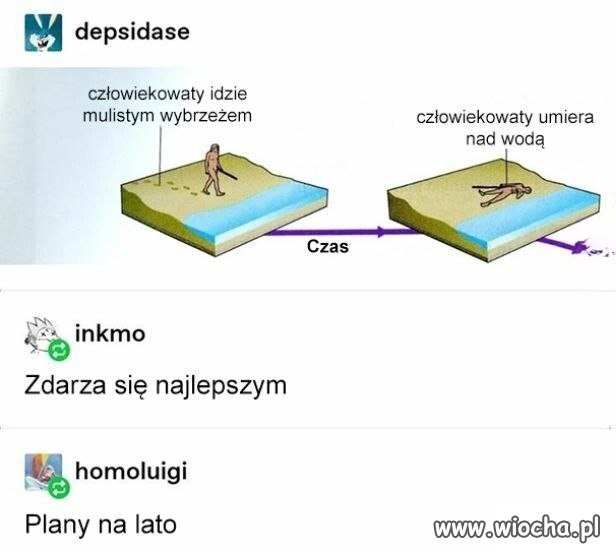 Moje plany na lato?