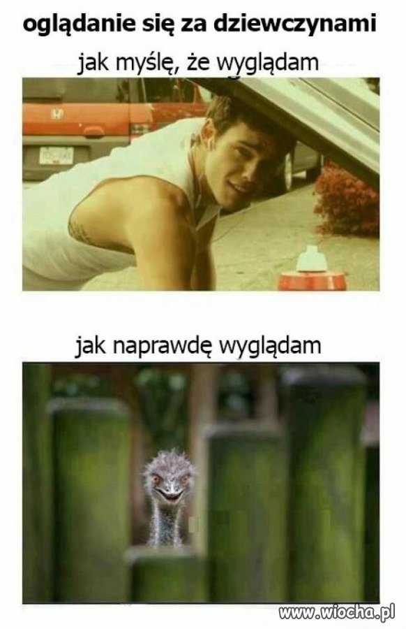 Myślę, że wyglądam cool