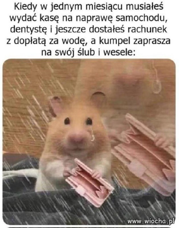 I zawsze wszystko na jeden miesiąc