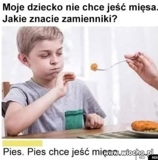 Pies, weź psa