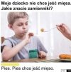 Pies, weź psa