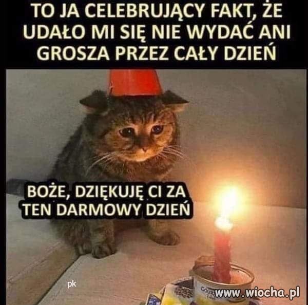 Dziękuję za ten darmowy dzień!