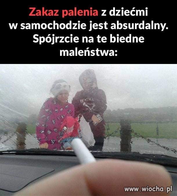 Bzdurny ten zakaz palenia z dziećmi w aucie