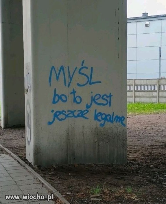 Mądre słowa z ulicy 
