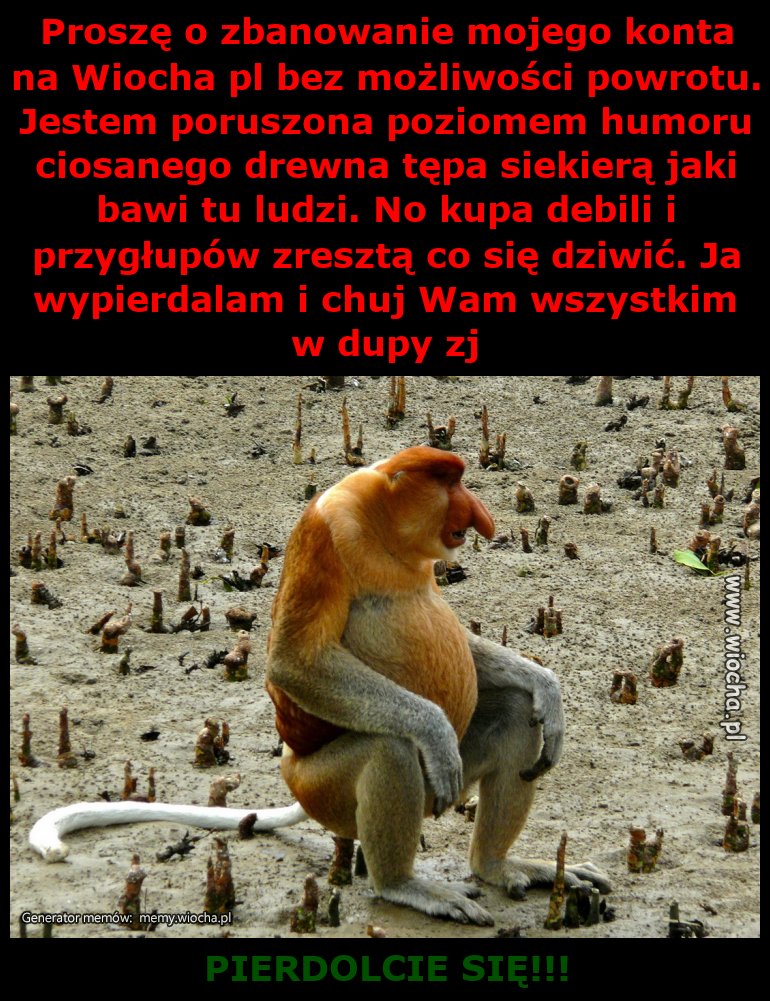 Proszę o zbanowanie mojego konta na Wiocha pl bez