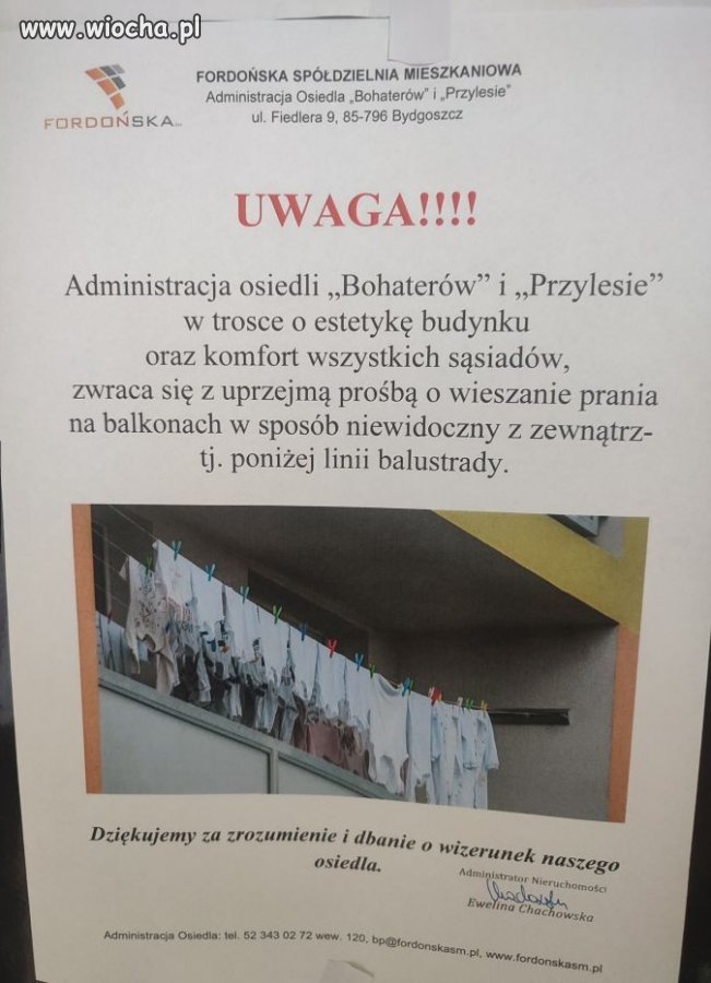 Hah, że co?