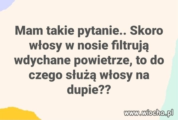 Oto jest pytanie 