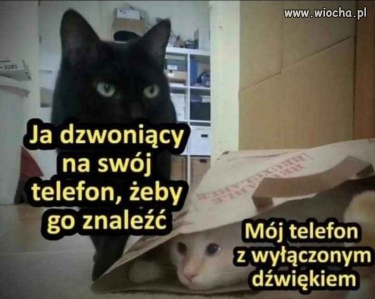 Możesz do mnie zadzwonić?