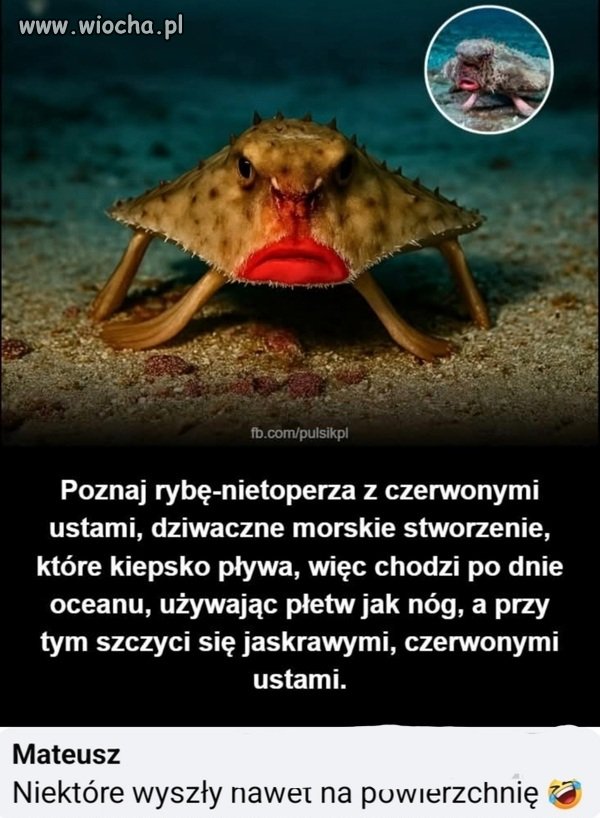 Cóż...