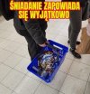 Śniadanie Mistrzów