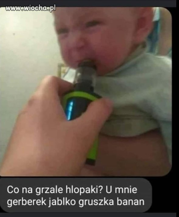 Gerberek jabłko gruszka