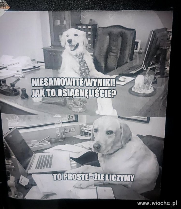 Ale świetne wyniki!