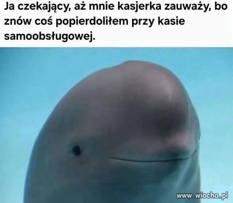 Eeee