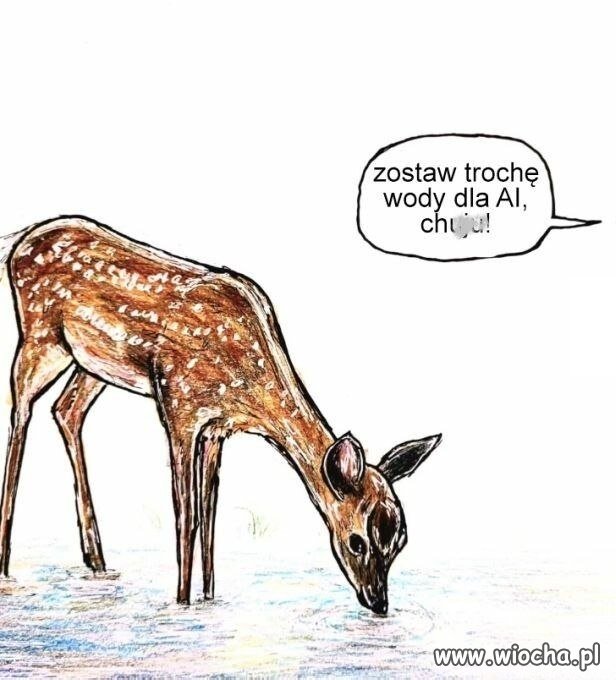 Nie rozpędzaj się