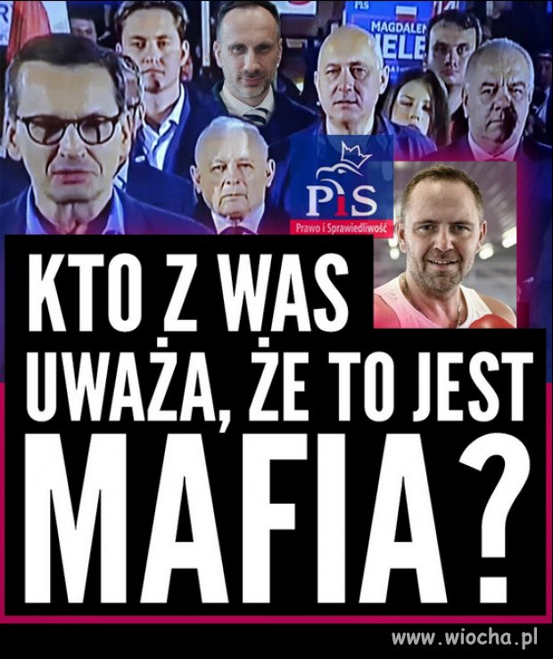 PiS kradło NA POTĘGĘ publiczne środki. 