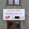 Liberalne podejście