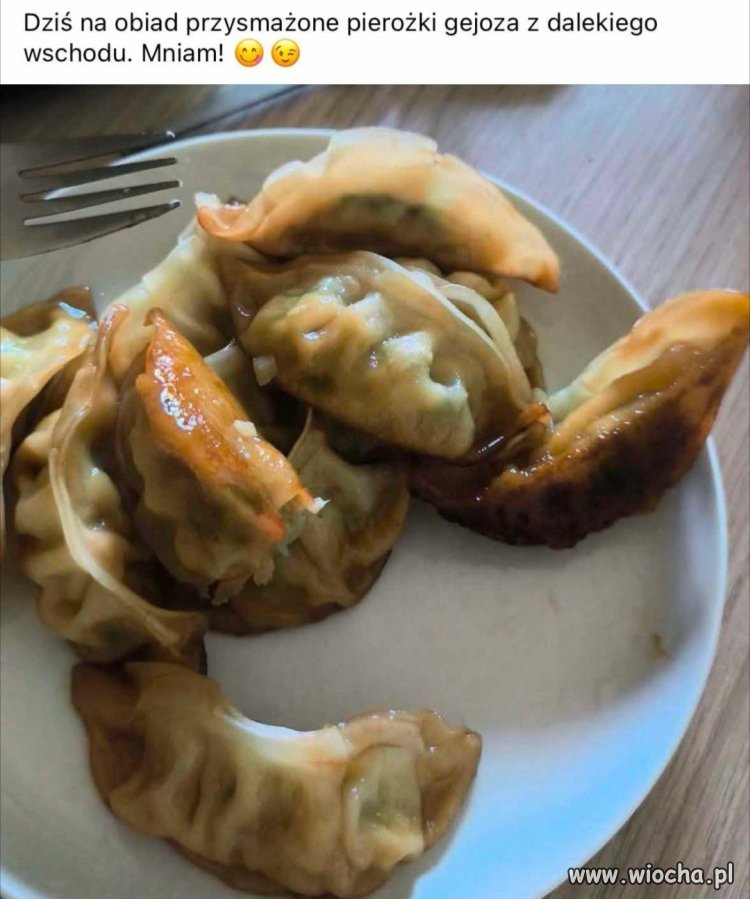 Pierożki gejoza z dalekiego wschodu