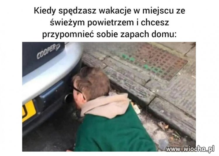 Mieszkańcy Krakowa i Śląska