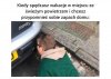 Mieszkańcy Krakowa i Śląska
