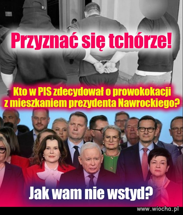 Tak wyglada knucie i szczucie drobnych cwaniaczkow PiSu!