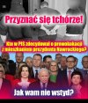 Tak wyglada knucie i szczucie drobnych cwaniaczkow PiSu!