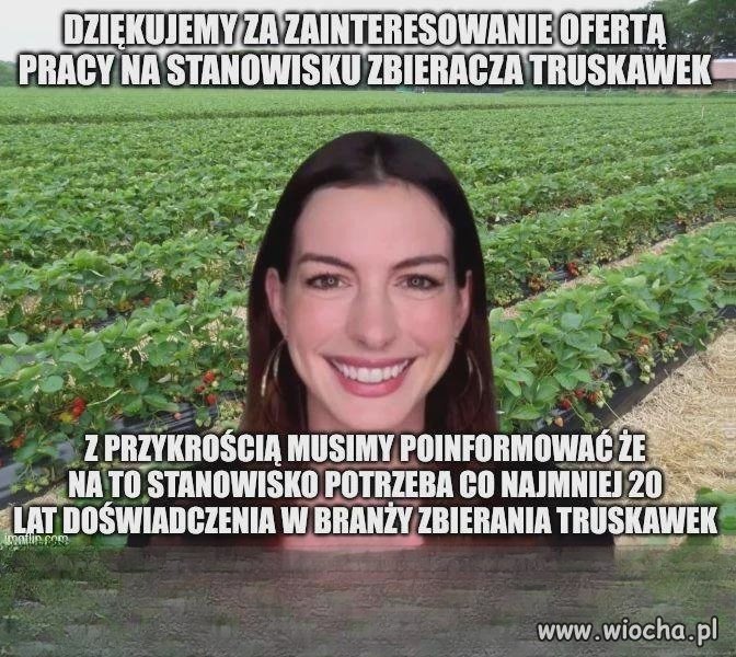 Dziękujemy