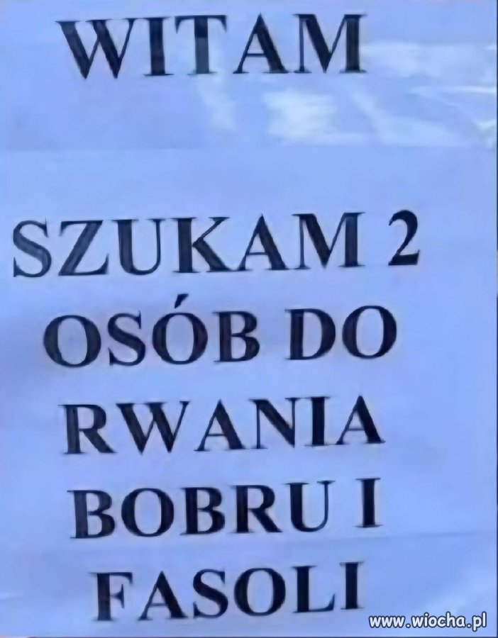 Szukam 2 osób