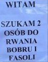 Szukam 2 osób