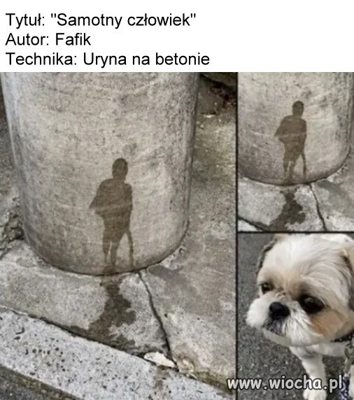 Najnowsze dzieło Fafika